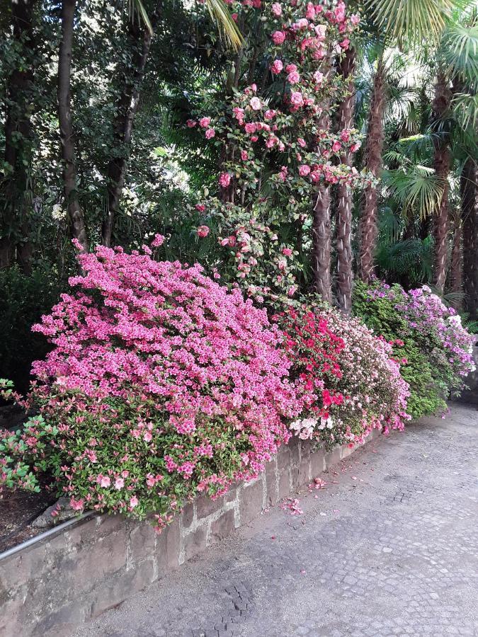 Villa Coris Ferienwohnung Magnolia Merano Eksteriør billede